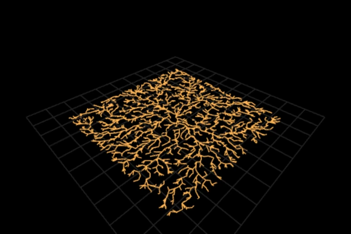 examples-coral cooked in the editor: a dendrite grown by aggregation — 2,484 points